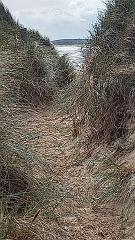 Sylt (185)